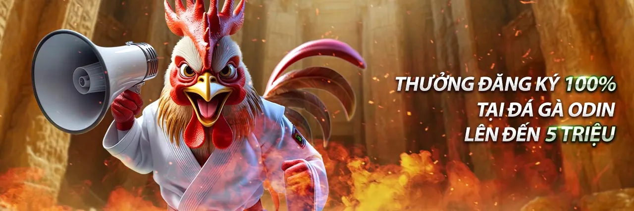 Hình ảnh chính chương trình VIP nohu666, thể hiện sự sang trọng và độc quyền